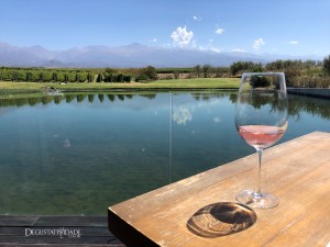 Siete Fuegos – The Vines  – Vale de Uco – Mendoza