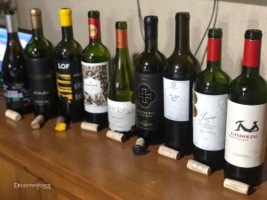 Wine Chef – Alex Ordenes