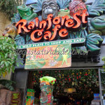 Rainforest Cafe – San Francisco