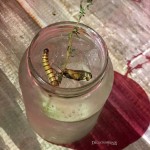 Vista naSala – Drink com insetos – BH