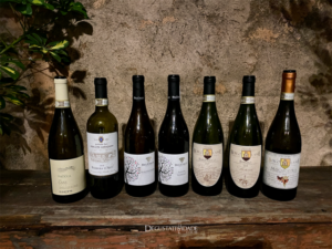 Vinhos e Uvas do Piemonte – Renato Quintino