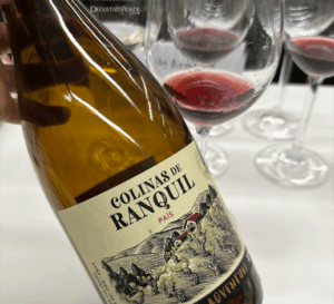 Morandé Adventure Colinas de Ranquil País 2021