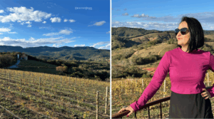 Sunset na Vinícola Trindade