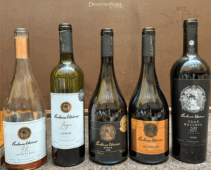 Vinícola Barbara Heliodora MG – novidades