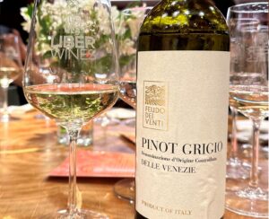 Feudo Dei Venti Pinot Grigio