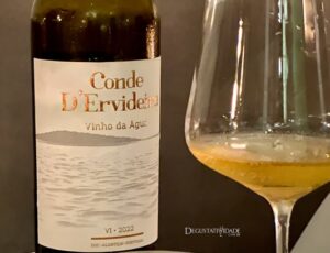 Conde D’Ervideira Branco, vinho submerso nas águas