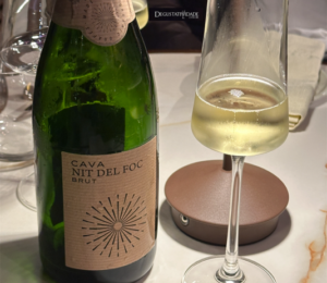 Cava Nit del Foc Brut Eco