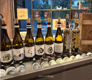 Viña Maris – Bodegas Carchelo